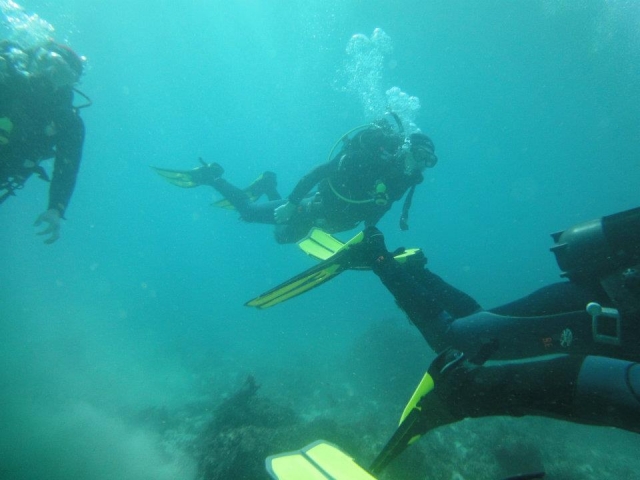 Cursos de buceo